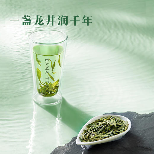 马到成功5星·特级明前龙井216g 商品图5