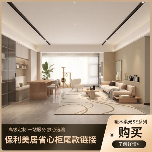 【省心柜】SE系列套餐 尾款链接 商品图0