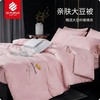 民光柔肤大豆春秋被（芯）-B44604XXG 商品缩略图0