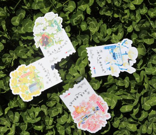 南医的花明信片 商品图0