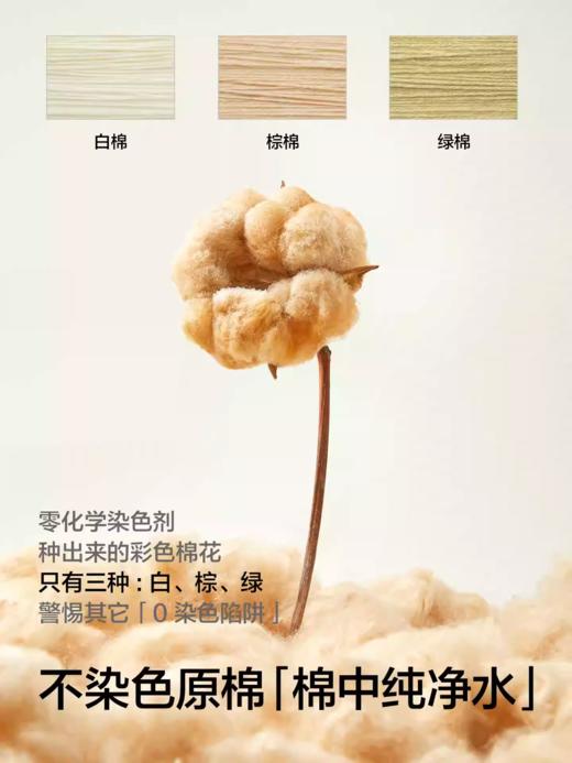 【不染色原棉】有棵树一次性内裤女孕妇纯棉无菌10A医护级日抛裤 商品图3