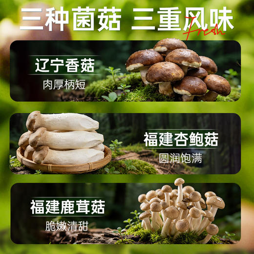 【鲜食】几多全黑松露味组合菌菇脆 210g/袋  菌香四溢 酥脆味鲜 商品图2