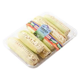 小拇指玉米３００ｇ