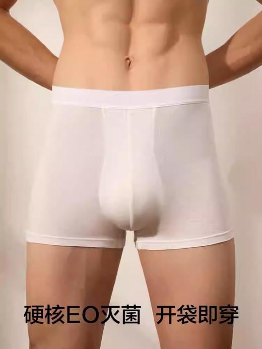 有棵树一次性内裤男日抛EO灭菌医用级独立包装旅行免洗男士平角裤 商品图1