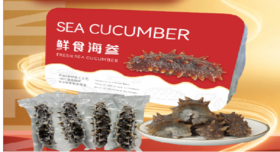 【门店同款】鲜食海参乐扣盒装（500g/盒）