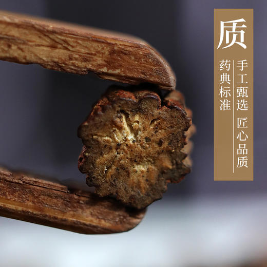 酒丹参 康美中药饮片 独立小包装10g起 商品图2