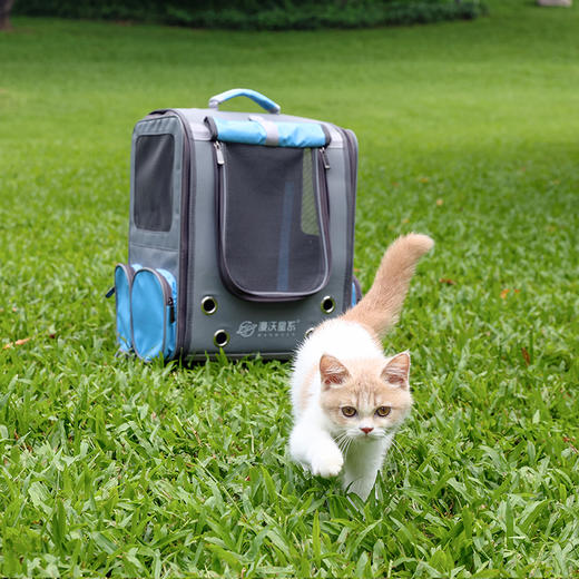 漫沃星系宠物户外背包MC-B201 商品图8