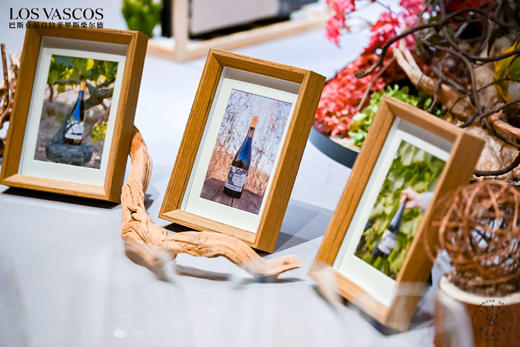 (测试勿拍)拉菲罗斯柴尔德巴斯克葡瑞系列组合装 商品图4