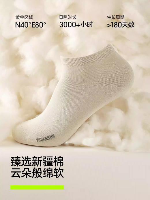 【10A抗菌】有棵树袜子男士短袜夏季薄款纯棉透气运动吸汗防臭短 商品图2