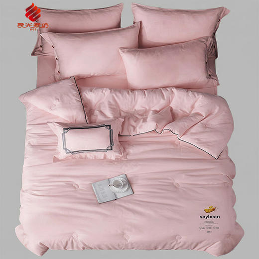 民光柔肤大豆春秋被（芯）-B44604XXG 商品图1