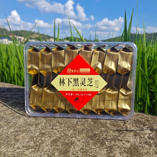 林下黑灵芝代用茶 商品图0