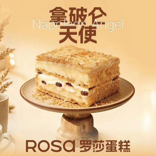 拿破仑天使 商品图0