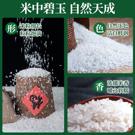 平远丝苗米  5Kg 商品图2
