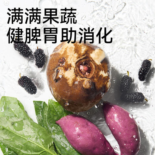 帕特全价幼孕期猫粮（牛肉·桑葚） 商品图7