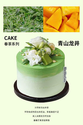 【预售】青山龙井（抹茶蛋糕胚）【A5233】