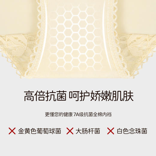 3条98元新款高颜值性感蕾丝内裤女7A抗菌纯棉裆低腰法式三角裤夏-维姬内裤 商品图3