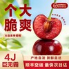 大连美早樱桃精选礼盒装500g（4J，35粒） 商品缩略图0