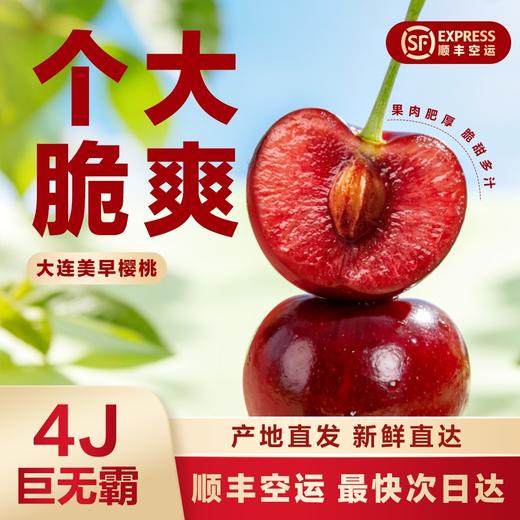 大连美早樱桃精选礼盒装500g（4J，35粒） 商品图0