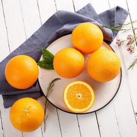 美国新奇士（Sunkist）进口脐橙12粒彩箱装(2.4kg以上)