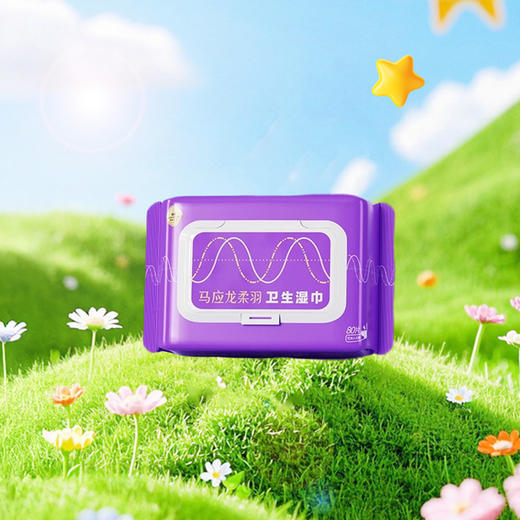 马应龙柔羽牌卫生湿巾80片 商品图0