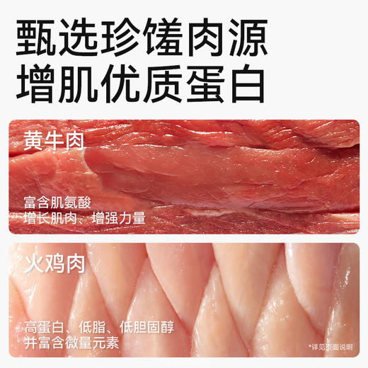 帕特全价幼孕期犬粮（火鸡肉·蓝莓） 商品图6