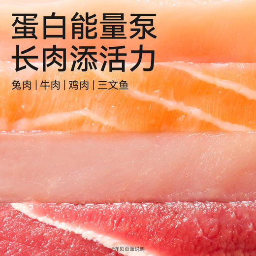 帕特全价幼孕期猫粮（牛肉·桑葚） 商品图6