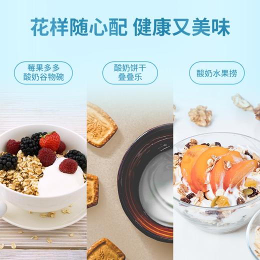 【新品限时购】德亚风味酸牛奶（无蔗糖）206gx10礼盒/020788  花样随心配 好吃又美味 商品图2