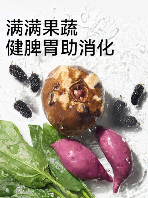 帕特全价幼孕期猫粮（牛肉·桑葚） 商品图3