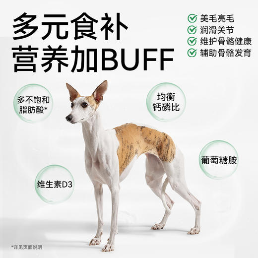 帕特全价幼孕期犬粮（火鸡肉·蓝莓） 商品图8