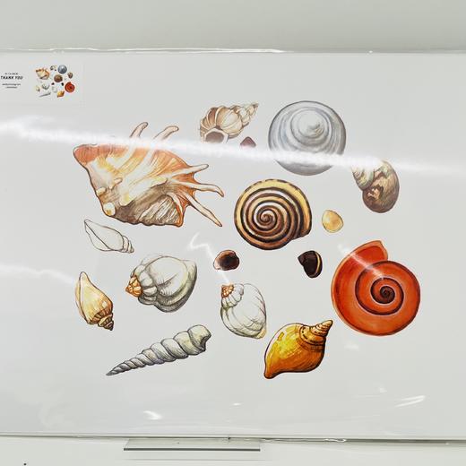 NICKIGAO | 贝壳装饰画 商品图0