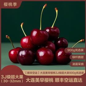 本来果坊·大连暖棚美早樱桃3J级彩箱装900g