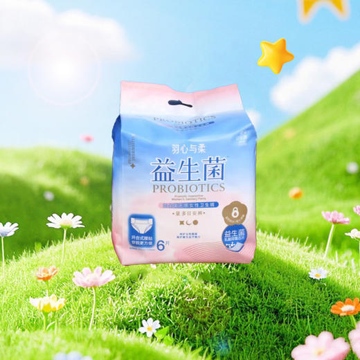 NV每尖严选益生菌无感女性卫生裤-6片装 商品图0