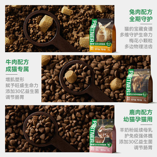 帕特全价成年期猫粮 （牛肉配方、生骨肉混合） 商品图6