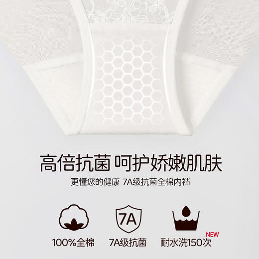 3条118元新款刺绣法式性感蕾丝低腰内裤女7A抗菌纯棉裆比基尼夏-哈莉特内裤 商品图2