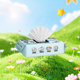 NV每尖严选厨房湿巾80p