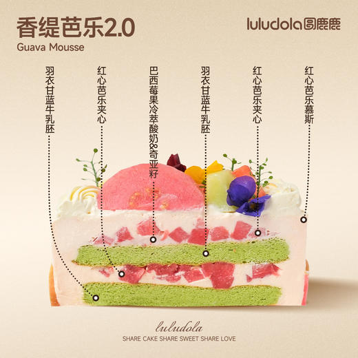 香缇芭乐2.0 商品图1