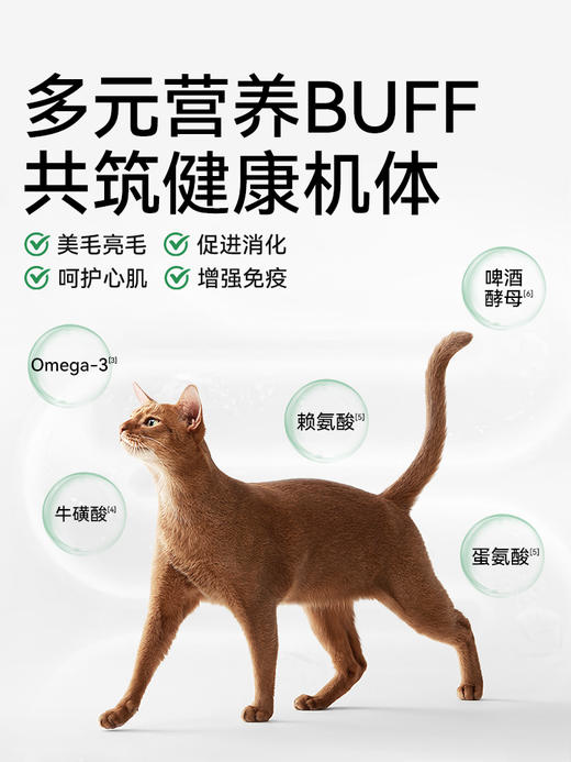 帕特全价幼孕期猫粮（牛肉·桑葚） 商品图4