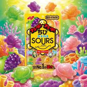 【新品限时购】诺贝尔乌龟形什锦水果味软糖 70g/064635