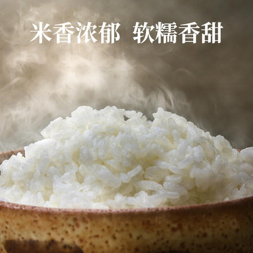 平远丝苗米  5Kg 商品图3
