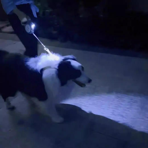 漫沃星系宠物自动牵引绳MD-QS401 商品图2