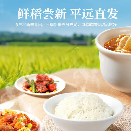 平远丝苗米  5Kg 商品图5