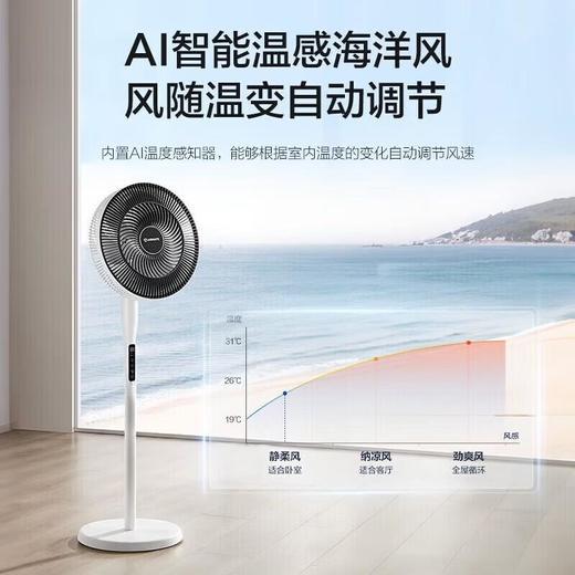 艾美特落地扇FS35-SRD135 商品图3