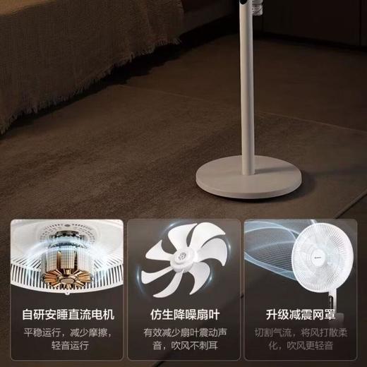 艾美特落地扇FS30-RD122 商品图2