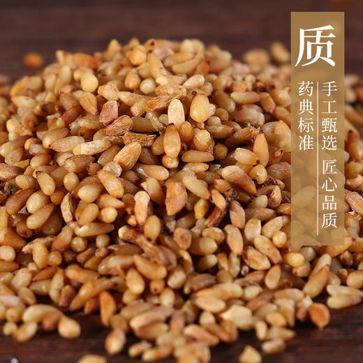 柏子仁 康美中药饮片 独立小包装 商品图2