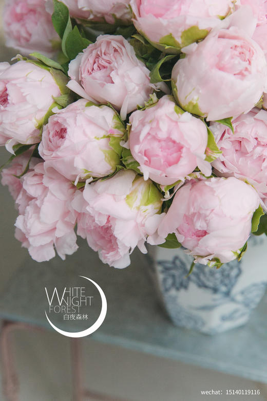 当季之美牡丹“雪映桃花”团购 商品图3