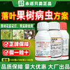 果树病虫专杀虫杀菌剂氟啶虫酰胺联苯菊酯桃树蚜虫杀虫剂农药组合 商品缩略图4
