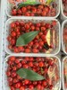 云南现摘新鲜樱桃【BN】 商品缩略图0