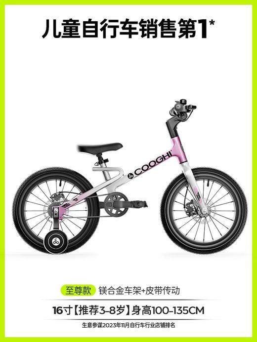 酷骑迅猛龙儿童自行车男女孩脚踏车3一6一12岁2025年新款单车F1 商品图12