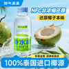 【月月精选】425ml耶气满满香水椰 天然电解质 商品缩略图0