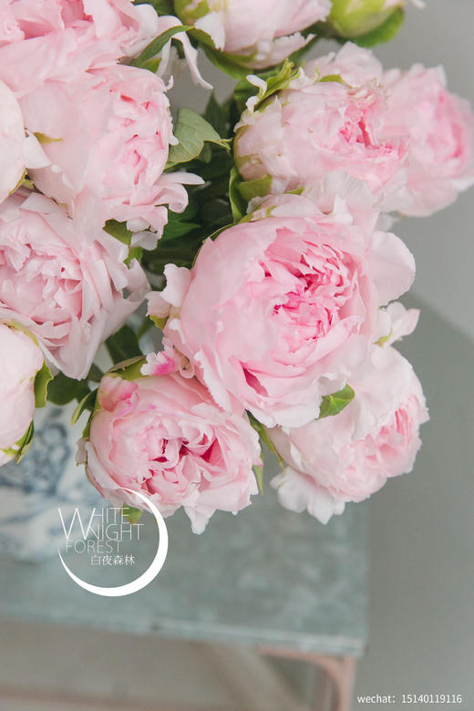 当季之美牡丹“雪映桃花”团购 商品图1